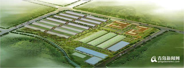 13個現代農業項目落戶西海岸，總投資52億元